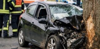 Kollision mit Baum im Westerwald: Fahrer schwerverletzt — Strecke voll gesperrt