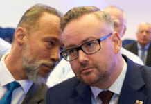 Vetternwirtschaft-Skandal in RLP: Grüne wollen wegen AfD strengeres Fraktionsgesetz