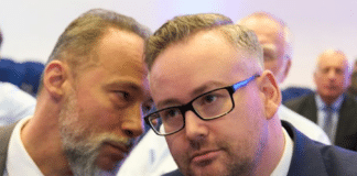 Vetternwirtschaft-Skandal in RLP: Grüne wollen wegen AfD strengeres Fraktionsgesetz