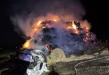 Großbrand bei Messerich: 250 Strohballen vernichtet – Polizei ermittelt wegen Brandstiftung