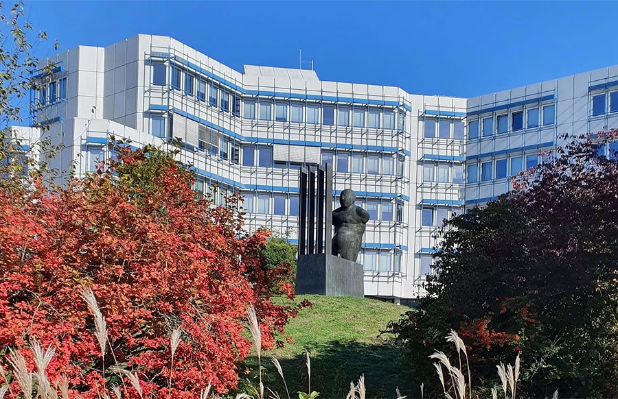 Uni-Trier-Vision-rer-Ansatz-f-r-Hirn-Computer-Schnittstellen