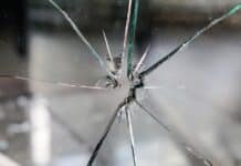 RLP: Glasmurmeln statt Luftgewehr — Fensterscheiben bei Tierschutzverein beschädigt