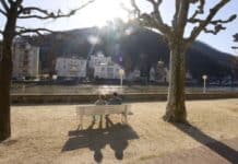 Region: Auf Frost und Nebel folgt die Sonne — Temperaturen bis zu 20 Grad