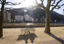 ++ Region: Bis zu 18 Grad tagsüber, nachts Frost in Bodennähe ++