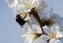 ++ Region: Das Frühlingswetter hält an – sonnig und fast 20 Grad ++