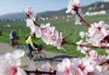 ++ Graues Wetter in der Region — ab Mittwoch Sonne ++