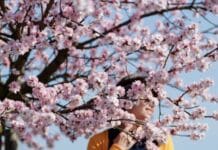 ++ Region: Bis zu 18 Grad erwartet – Frühlingswetter am Wochenende ++