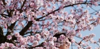 ++ Region: Bis zu 18 Grad erwartet – Frühlingswetter am Wochenende ++