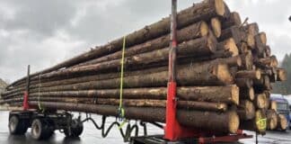 Über 21 Tonnen (!) zu viel: Polizei stoppt überladenen Holztransport auf B51