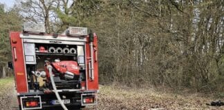 Vulkaneifel: Laub brennt auf Waldboden — Feuerwehr verhindert Übergreifen auf Bäume