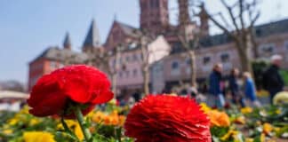 RLP: Weniger Regen, mehr Sonne – März ungewöhnlich mild