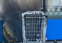 Bernkastel: Brandstiftung auf Supermarkt-Parkplatz – Polizei fahndet nach jugendlichem Trio