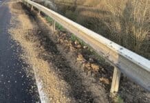 B51: Leitplanke auf 70 Metern beschädigt — Fahrbahn stark verschmutzt
