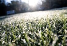 Frost und Frühlingssonne in der Region: Freundliches Wetter, aber kalte Nächte