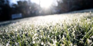 Frost und Frühlingssonne in der Region: Freundliches Wetter, aber kalte Nächte