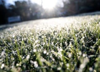 Frost und Frühlingssonne in der Region: Freundliches Wetter, aber kalte Nächte