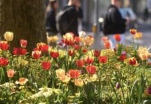 ++ Sommerliche Temperaturen in der Region: Wolkenlos und bis zu 23 Grad ++