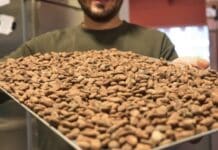 „Schokolade ist ein Luxusgut“: Was die Preise für Osterschokolade treibt