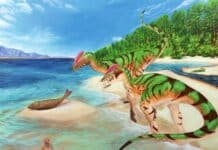 Wir sind Dino: Erster Saurier in RLP in der Südeifel nachgewiesen — Sensationsfund