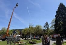 Tag des Baumes in Trier: Mit einem Hubsteiger in luftige Höhen