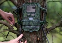 Dreister Diebstahl in Wittlich: Gatter überklettert — Wildkamera geklaut