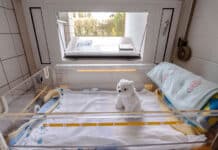 Neue Babyklappe an Mainzer Unimedizin
