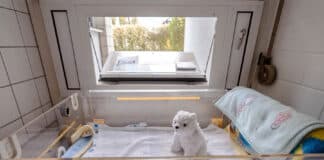 Neue Babyklappe an Mainzer Unimedizin