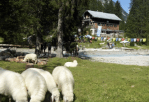 Bergtour wurde Albtraum: Sturz in reißendem Wasser – Mutter stirbt bei Bergtour vor Kinderaugen!