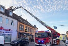 Spektakuläre Rettung: Katze stürzt bei Flucht vor Feuerwehr acht Meter in Kamin