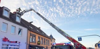 Spektakuläre Rettung: Katze stürzt bei Flucht vor Feuerwehr acht Meter in Kamin