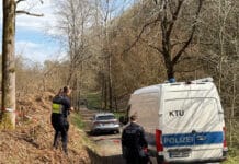Mordkommission ermittelt nach Fund eines menschlichen Kopfes – Spur zu Leichenfund in RLP?