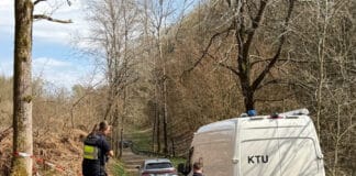 Mordkommission ermittelt nach Fund eines menschlichen Kopfes – Spur zu Leichenfund in RLP?