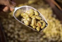 ACHTUNG – Salmonellengefahr! Rückruf von beliebter Pistaziencreme