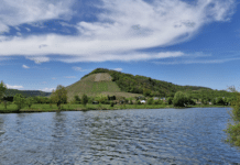 Radeln, entdecken, genießen: Fahrrad-Frühling 2026 startet rund um Trier mit tollen Touren