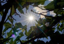 Region: Viel Sonne und steigenden Temperaturen — am Samstag Gewitter möglich