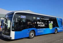 Trier: Stadtwerke Trier setzen Pendelbus zwischen Schammat und Porta Nigra ein