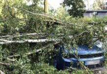 Etwas weniger Unwetterschäden an Autos in RLP — So hoch war die Schadenssumme