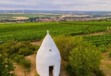 Wo die Tourismusbranche Potenzial in Rheinland-Pfalz sieht