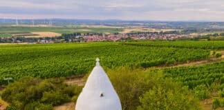 Wo die Tourismusbranche Potenzial in Rheinland-Pfalz sieht