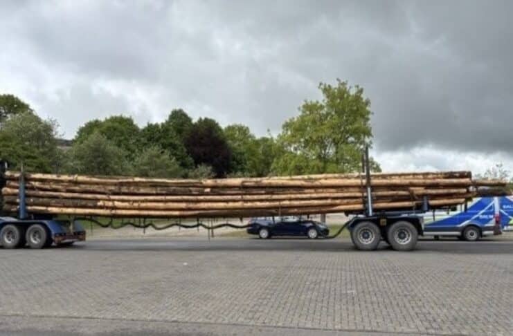Neun Tonnen zu viel: Polizei Trier stoppt völlig überladene Holztransporte