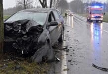 RLP: Auto prallt auf Kreisstraße gegen Baum – zwei Schwerverletzte (18 und 21)