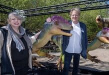 Nach Dinosaurierfund in der Südeifel: Experten suchen weiter
