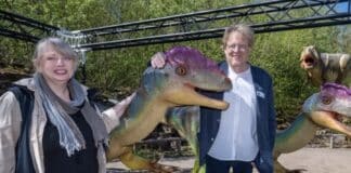 Nach Dinosaurierfund in der Südeifel: Experten suchen weiter