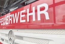 RLP: Pferd fällt von Brücke in Fluss – Feuerwehr rettet das Tier