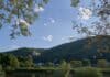 ++ Region: Sommerliches Wetter im Anmarsch – 27 bis 31 Grad ++