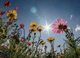 Region: Sonniges Pfingstwochenende mit über 30 Grad – sonntags Gewitter möglich