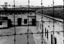 Gedenken an den 8. Mai 1945: Zeitzeugengespräche machen NS-Verbrechen greifbar