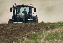 Anhaltende Trockenheit: Bauern in RLP hoffen auf Regen – noch keine Erntegefahr