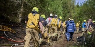 Grundwasserneubildung in RLP «unterdurchschnittlich» – «sehr trockenes» Jahr 2025