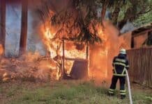 Verdacht auf Brandstiftung: Feuerwehr stoppt Waldbrand im Saarland